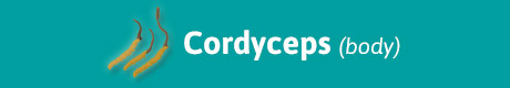 460x80_eys_almighty_cordyceps